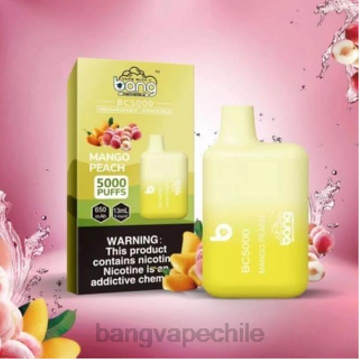 Bang Vape Box BC5000 Bolígrafo tipo c recargable con 5% nic 5000 inhalaciones desechable - Bang disposable vape flavors 2N68T9