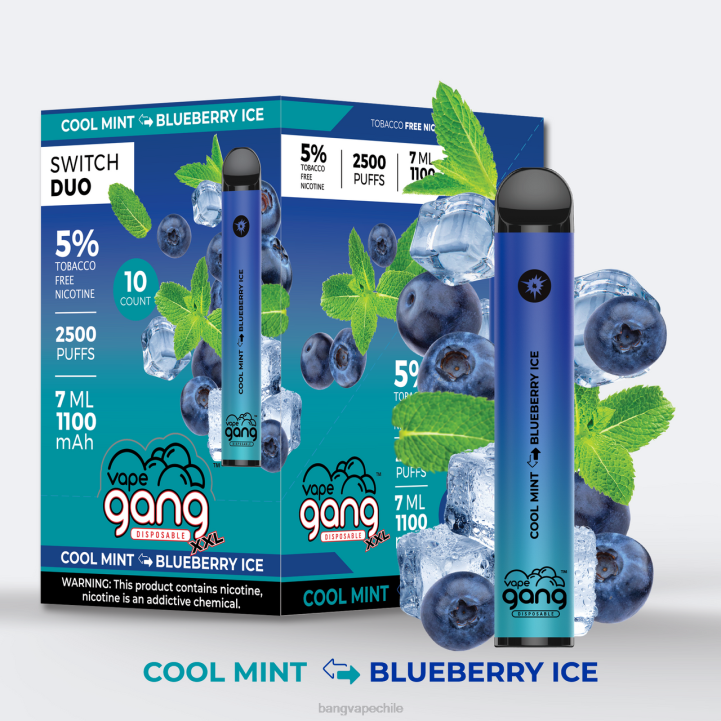 Vape Gang Switch Duo 2 sabores (caja de 10) hielo de plátano - plátano de fresa - Vape Gang shop 2N68T40