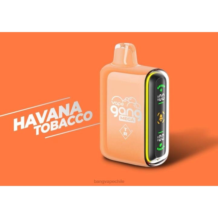 Vape Gang MEGA Vape desechable de 20.000 inhalaciones (caja de 5) tabaco habano - Bape Vape Chile 2N68T55