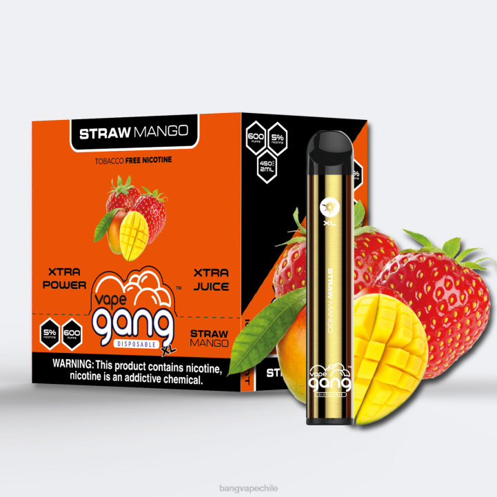 Vape Gang XL vaporizadores desechables 600 inhalaciones (caja de 10) mango de paja - Vape Gang Chile 2N68T66