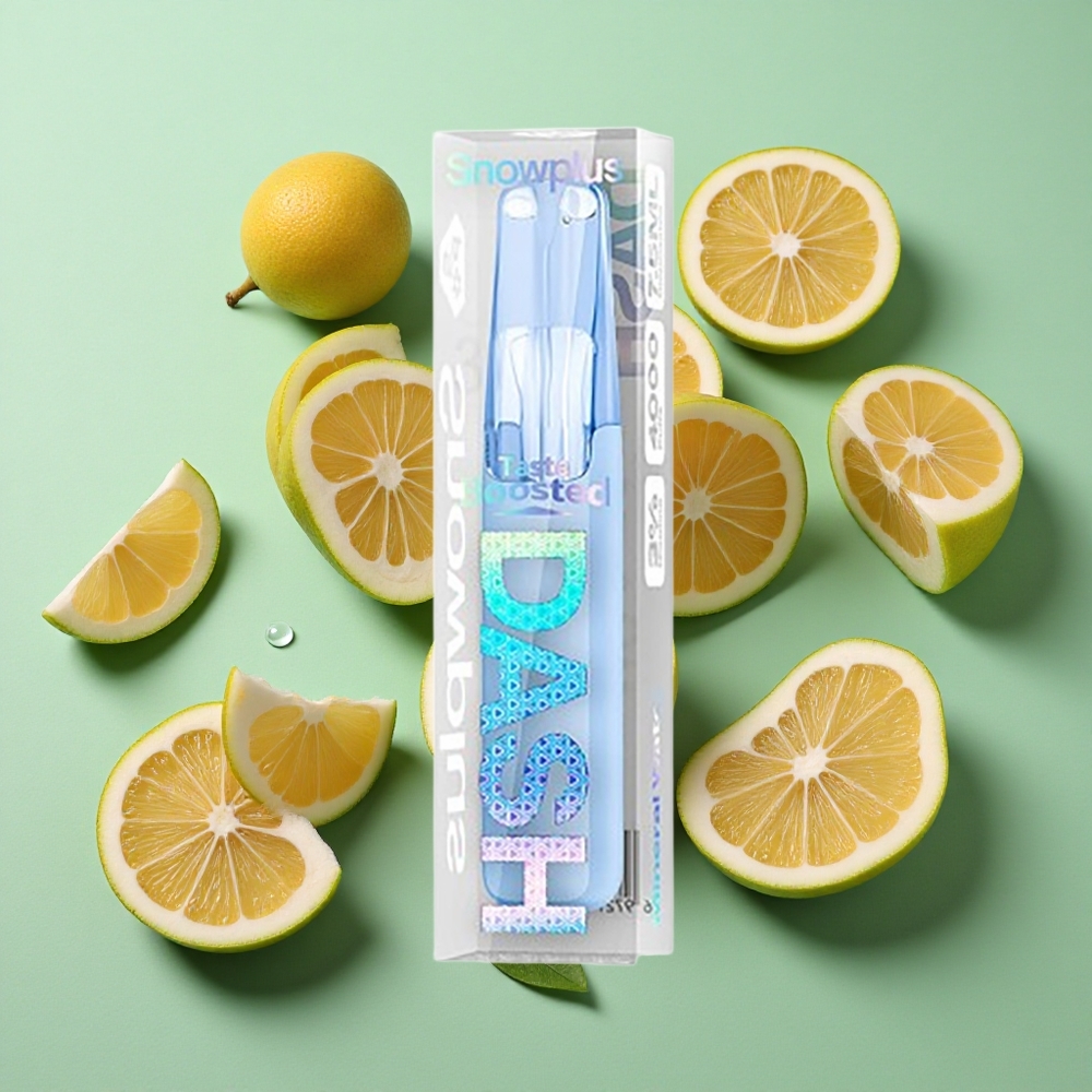Snowplus Dash 4000 Puffs Agua Mineral Dispositivo Desechable Chile al por mayor