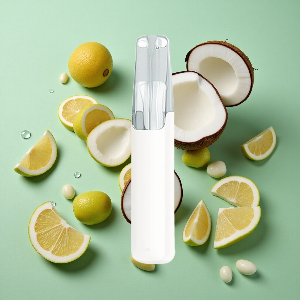 Snowplus Dash 4000 Puffs Agua de Coco Dispositivo Desechable 7.5 ml Chile al por mayor