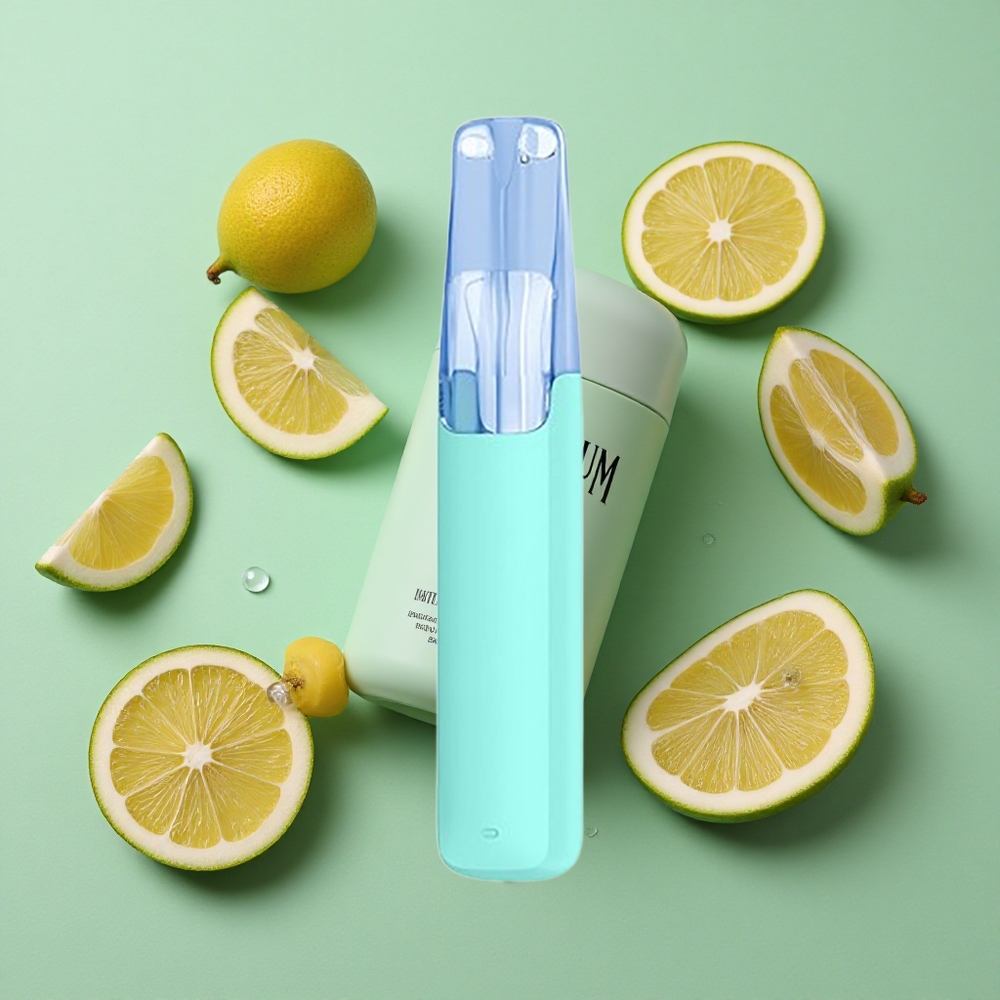 Snowplus Dash 4000 Puffs Dispositivo Desechable Mentol Plus 7.5 ml Chile al por mayor