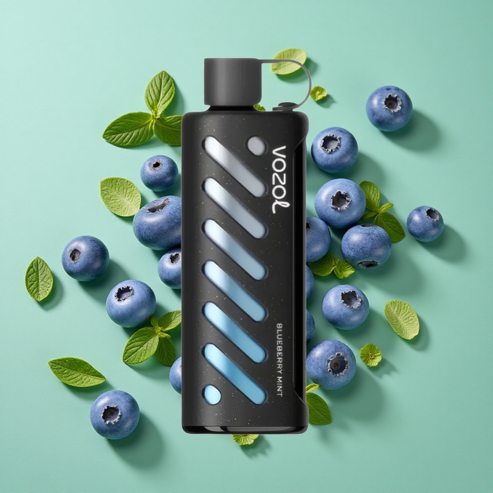 VOZOL Gear Shisha 25000 Puffs Menta Arándano 30 Sabores Chile al por mayor