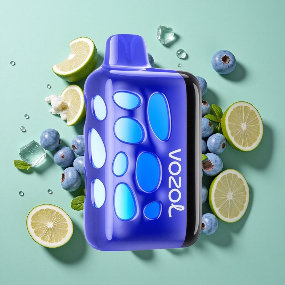 VOZOL RAVE 40000 Arándano Azul Carga Rápida 80% en 20 Min Chile al por mayor