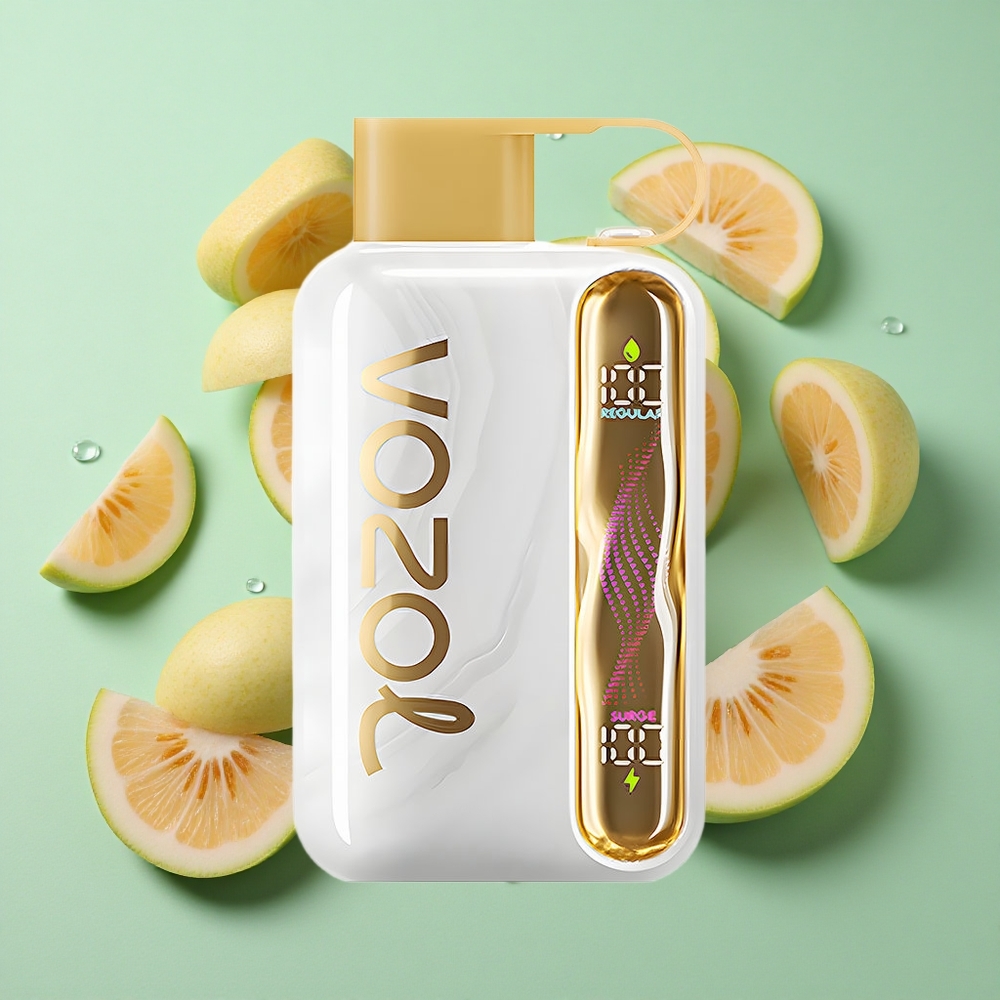 VOZOL STAR 40000 Puffs Melón Helado Vape Desechable 1000mAh Chile al por mayor