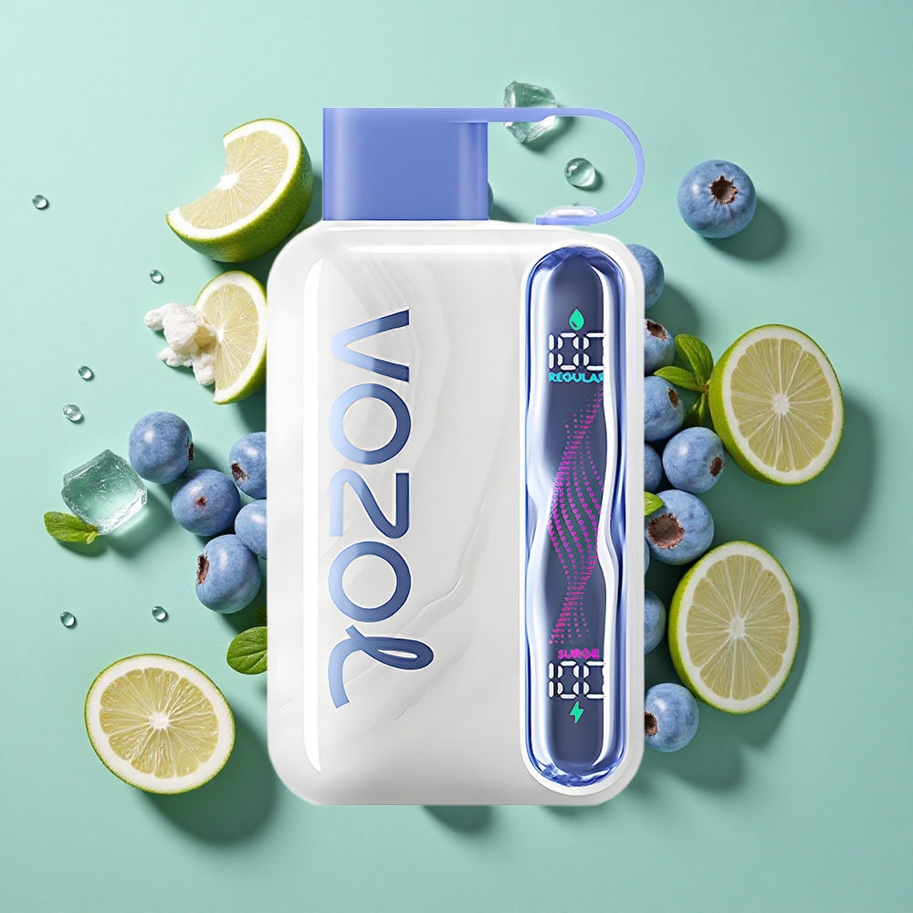 VOZOL STAR 40000 Puffs Vape Desechable Arándano Azul Hielo 1000mAh Chile al por mayor