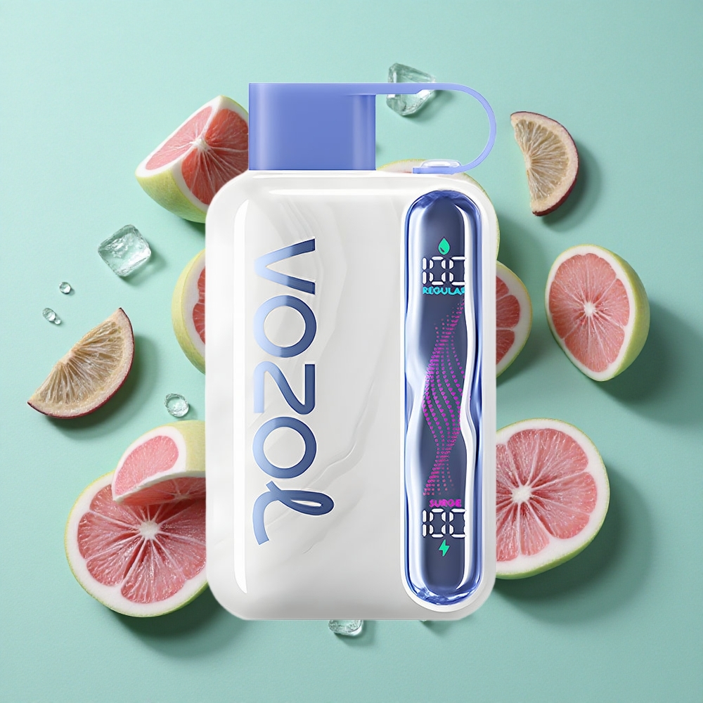 VOZOL STAR 40000 Puffs Vape Desechable Blue Razz Ice 1000mAh Chile al por mayor