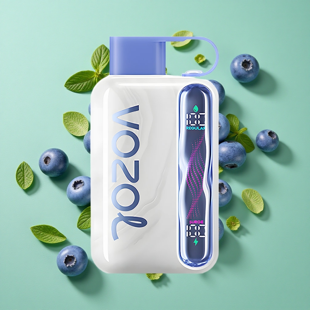 VOZOL STAR 40000 Puffs Vape Desechable Menta Arándano 1000mAh Tipo-C Chile al por mayor