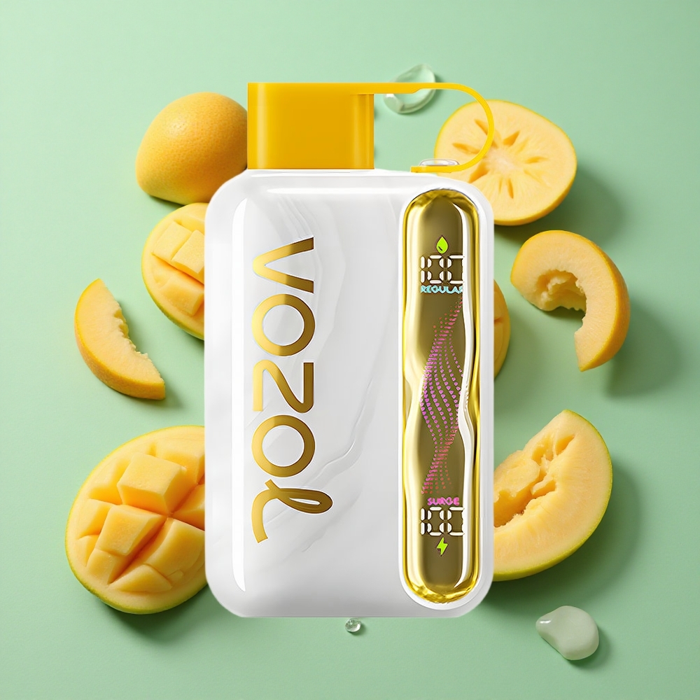 VOZOL STAR 40000 Puffs Vape Mango Hielo 1000mAh Tipo-C Chile al por mayor