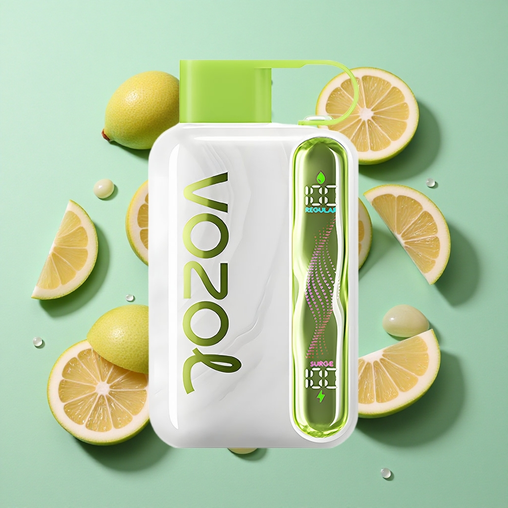 VOZOL STAR 40000 Puffs Vape Menta Refrescante 1000mAh Tipo-C Chile al por mayor
