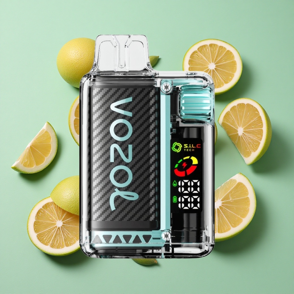 VOZOL Vista 20000 Puffs Menta Miami 650mAh Recargable Chile al por mayor
